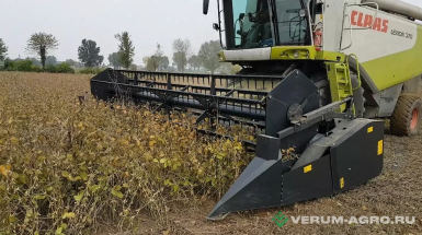 Жатки и оборудование для комбайнов - DOMINONI Жатка TopFlex 9,5  универсальная зернобобовая