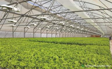 Теплицы - ХОЗАГРО-МС Теплица ТП-12 