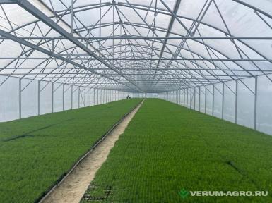 Теплицы - ХОЗАГРО-МС Теплица ТП-12 