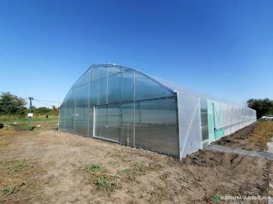Теплицы - ХОЗАГРО-МС Теплица ТП-12 