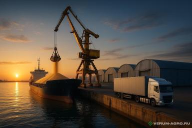 Прочее - CARRIER 456 