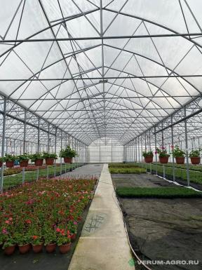 Теплицы - ИМПОТЭК Многорядная теплица  PRO 28,8х7,7х50м. 