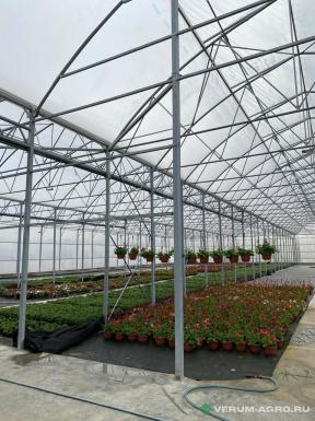 Теплицы - ИМПОТЭК Многорядная теплица  PRO 28,8х7,7х50м. 