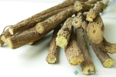 Семена лекарственных трав - Солодка. Солодки корни и корневища