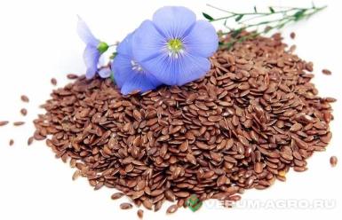 Семена льна масличного - Ы 117