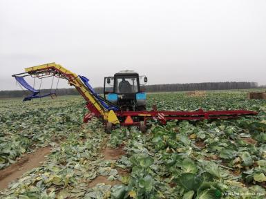 Специальные комбайны - ТЕХМАШ ТПУ Комбайн для уборки капусты 