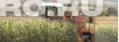 Кормоуборочные комбайны - ДЕСНА-ПОЛЕСЬЕ кск-600 кск-600