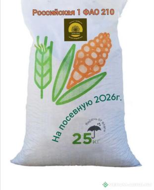 Семена кукурузы - Семена кукурузы 