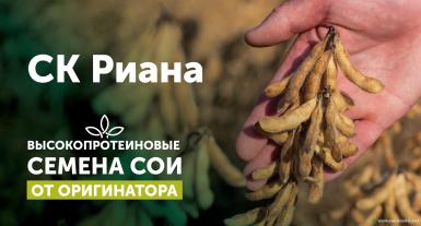 Семена сои - СК Риана семена сои 