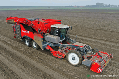 Картофелеуборочные комбайны - DEWULF ENDURO 