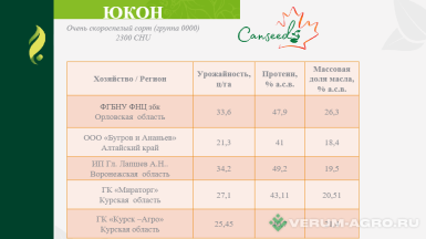 Семена сои - Семена сои сорт Юкон