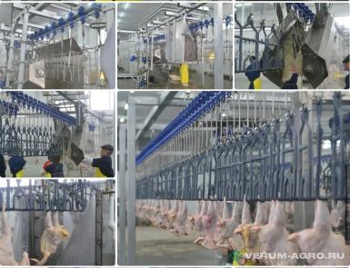 Оборудование для мясопереработки - СПО-АГРО ЛИНИЯ УБОЯ ПТИЦЫ ВИ-1020 