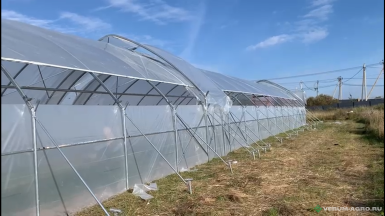 Теплицы - ХОЗАГРО-МС Ягодные туннели 
