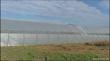 Теплицы - ХОЗАГРО-МС Ягодные туннели 