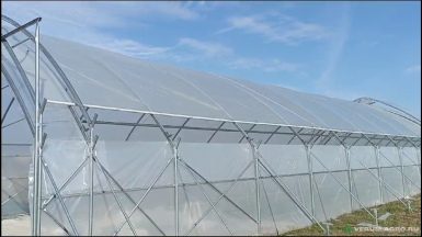 Теплицы - ХОЗАГРО-МС Ягодные туннели 