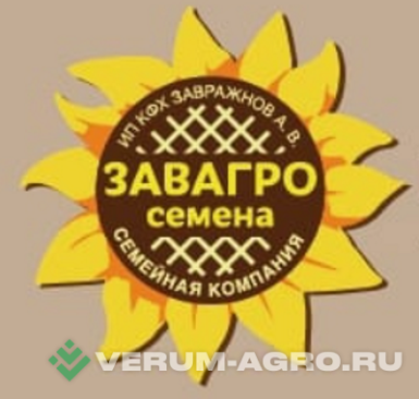 Семена подсолнечника - Нефть