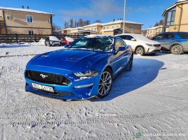 Легковой автотранспорт - FORD Mustang 2.3 AT