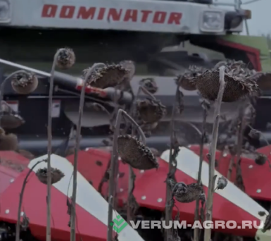 Жатки и оборудование для комбайнов - OLIMAC Drago 2 