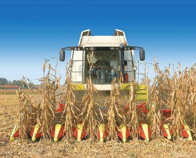 Жатки и оборудование для комбайнов - OLIMAC Drago 2 