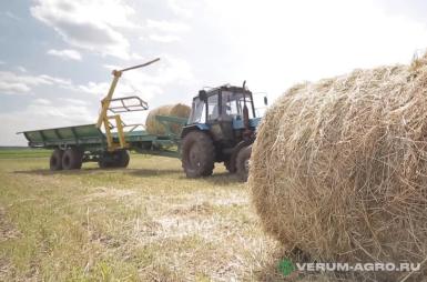 Прицепы для с/х техники - БОБРУЙСКАГРОМАШ ТП-10-01 транспортировщик рулонов самозагружающийся