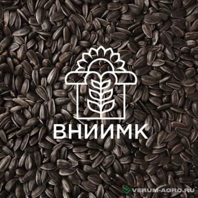 Семена подсолнечника - Семена подсолнечника ВНИИМК гибрид Суринат