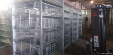 Оборудование для транспортировки - КТ-6 Модификация 1 