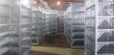 Оборудование для транспортировки - КТ-6 Модификация 1 