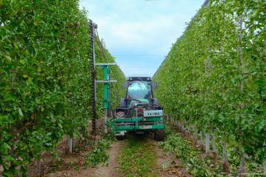 Прочее - FAMA Контурный сегментный обрезчик CKP 300 