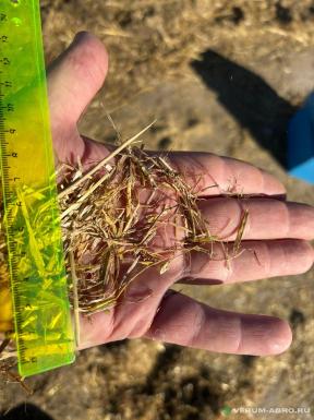 Прицепы для с/х техники - БИЗОН В-800 В-800