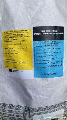 Семена подсолнечника - PIONEER 64LE162 