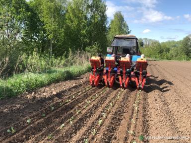 Сажалки - CHECCHI & MAGLI Trium 45