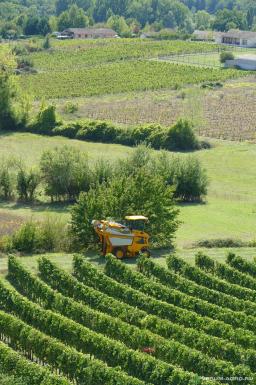 Прочее - GREGOIRE Самоходный виноградоуборочный комбайн GL7.4 