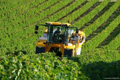 Прочее - GREGOIRE Самоходный виноградоуборочный комбайн GL7.4 