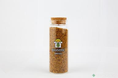 Семена рапса озимого - Семена горчицы озимой ВНИИМК сорт Джуна