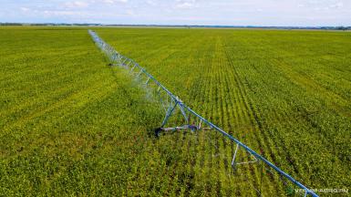 Дождевальные машины - АКВАФИЛД Дождевальная машина круговая 350 метров AFR350, секторная 220 град