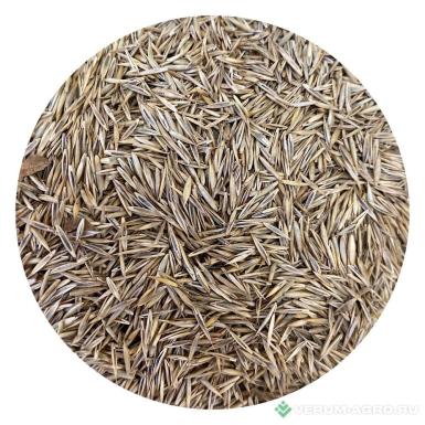 Семена газонной травы - Овсяница красная