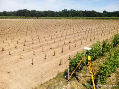 Прочее - OLIVA Medoc посадочная машина