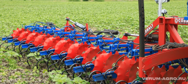 Культиваторы - ПК КОБАЛЬТ СКР 12*45 с защитными дисками 12*45