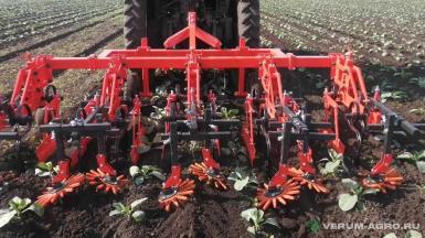 Культиваторы - TD STATINOV Культиватор прополочный КП-3.5 