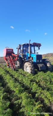 Прочее - ASA-LIFT Комбайн для уборки моркови ASA-LIFT  CM-100 Е