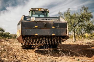 Ротоваторы - AGRIWORLD FTC 250.15 