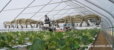 Опрыскиватели прицепные - ARGO Опрыскиватель для клубники SP1000-1