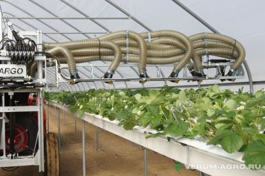 Опрыскиватели прицепные - ARGO Опрыскиватель для клубники SP1000-1