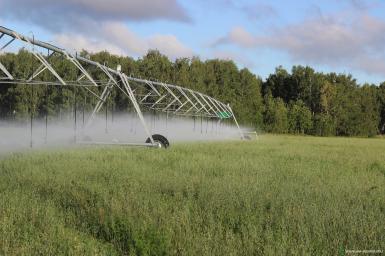 Дождевальные машины - ZDM-IRRIGATION Дождевальная машина кругового типа ДМК 555 м 