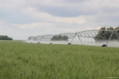 Дождевальные машины - ZDM-IRRIGATION Дождевальная машина кругового типа ДМК 555 м 