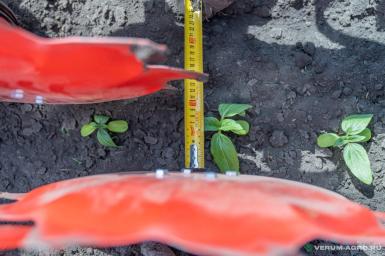 Культиваторы - ПК КОБАЛЬТ СКР 24*45 с защитными дисками 24*45