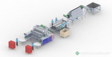 Упаковочное и фасовочное оборудование - СЕМЕР Линия по мойке и упаковке овощей в ПЭ пакеты