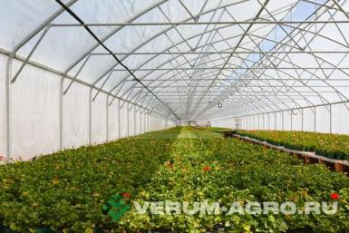 Теплицы - ИМПОТЭК Прямостенная туннельная теплица 10х4,74х50м ТТ 10х50