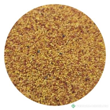 Семена клевера - Клевер белый