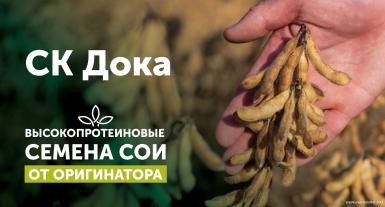 Семена сои - СК Дока семена сои 